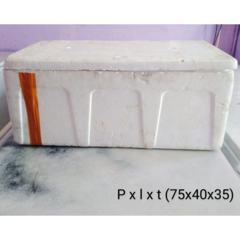 Jual Box Styrofoam Sterofom Besar 70X40 X30Cm (Bekas)