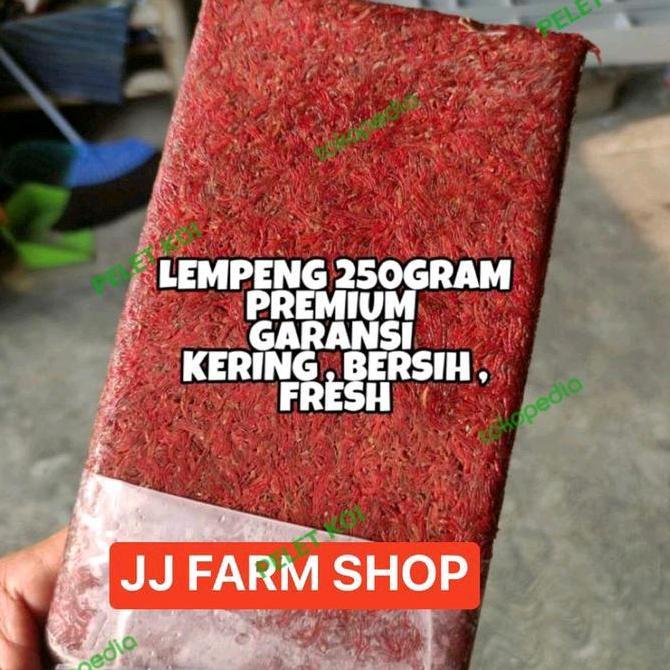 cacing beku lempeng segar merah jamin kualitas ok 1kg 100% cacing