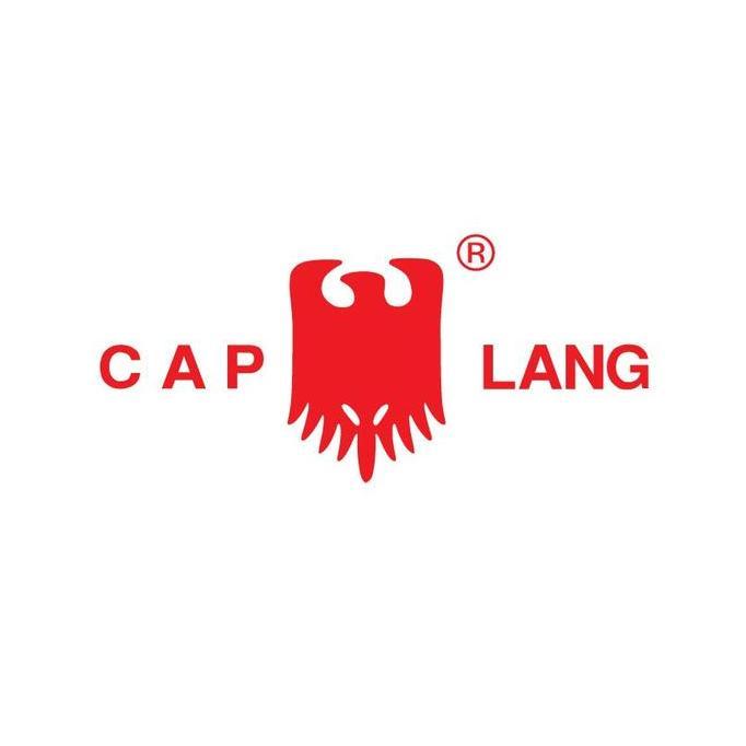 Point- Cap Lang 2 Pcs Vfresh 8Ml - Minyak Angin Mengatasi Pusing