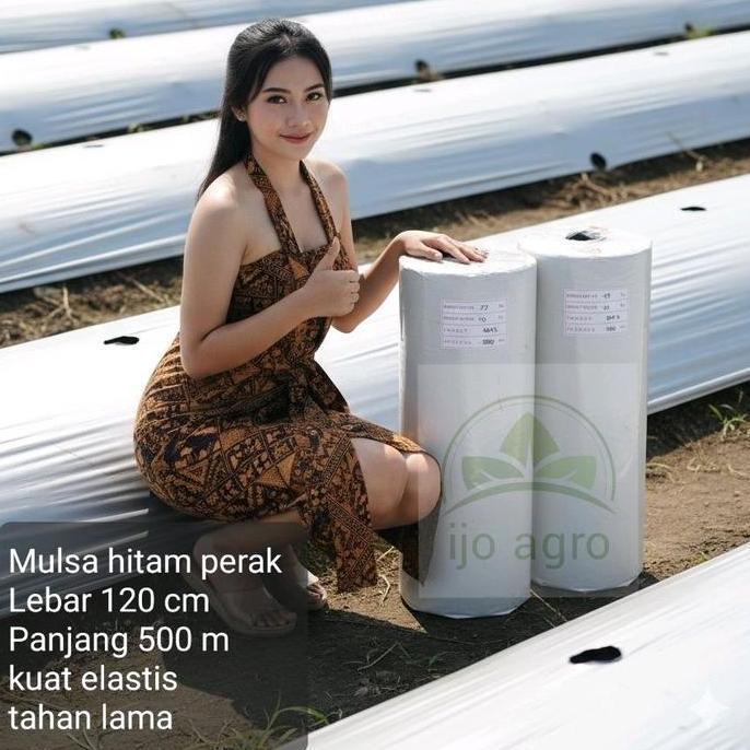 plastik mulsa murah hitam perak 1 roll lebar 1,2 m panjang 500 m