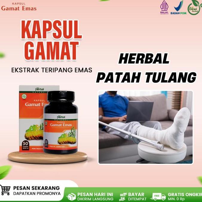 Kapsul Gamat Emas - Obat Nyeri Patah Tulang, Flu Tulang, Tulang Bergeser Dan Remuk, Cedera - Isi 50 