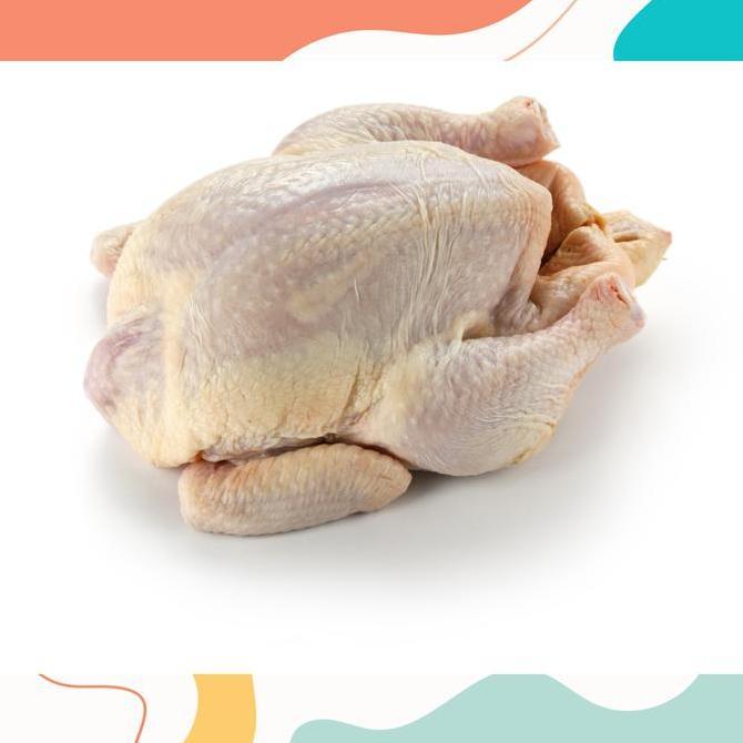Ayam Potong Utuh / Karkas Broiler Tanpa Kepala Ceker / Whole Chicken