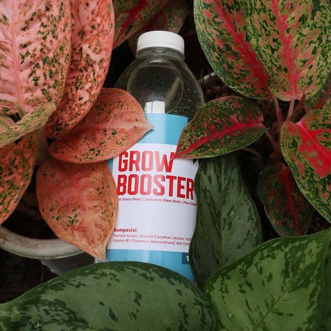 Place- Vitamin B1 Tanaman Organik Grow Booster 1 Liter