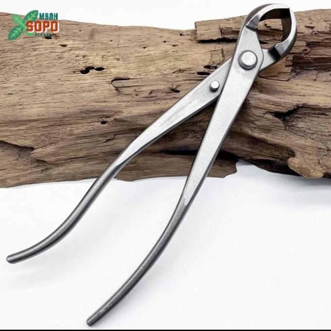 Place- Catok Cembung Tanaman Bonsai Import 21 Cm