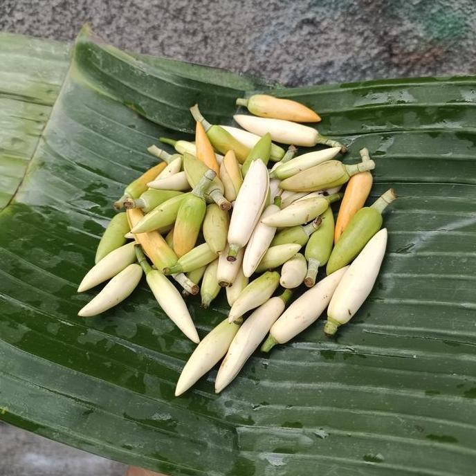 Bunga Kantil segar bunga kantil putih dan kuning