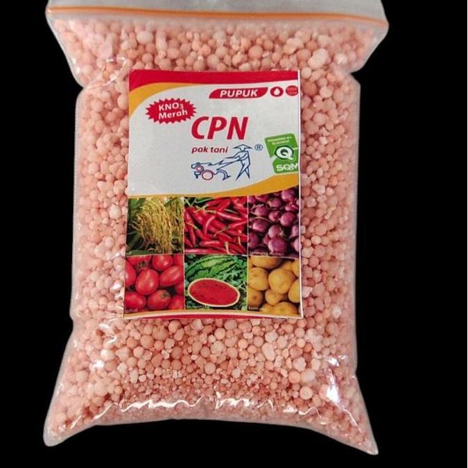 Paket Pupuk Pertumbuhan pupuk vegetatif Kno3merah Ultradap Magnesium total 600 gram Tanaman Anggur C