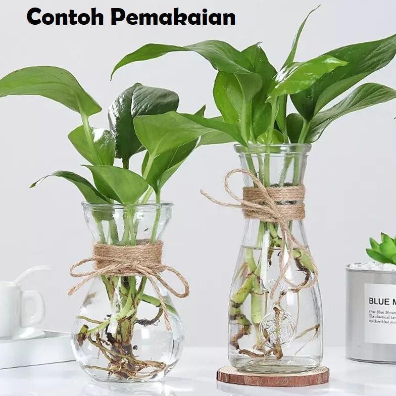 VAS BUNGA KACA BENING  / VAS BUNGA RUSTIC / GELAS KARAFE ESTETIK / VAS IKAN CUPANG / BALLOON CARAFE
