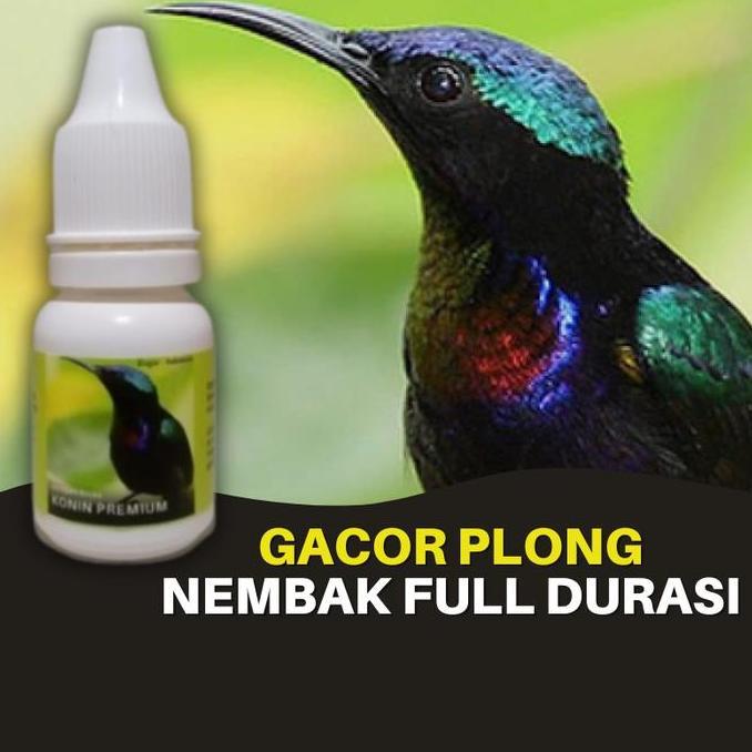 Doping Vitamin Burung Konin Kolibri Ninja Premium Gacor Plong Nembak Full Durasi Allshop