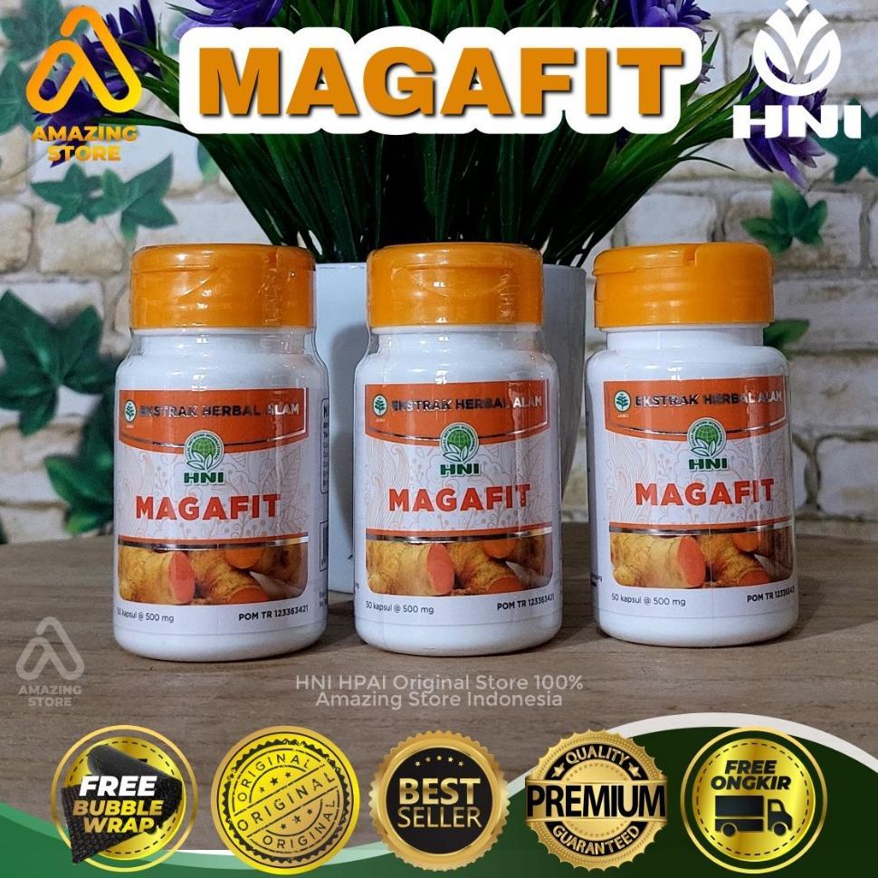 Magafit Hni Hpai Obat Maag Kronis Dan Obat Asam Lambung Ampuh, Herbal Obat Asam Lambung Hni Hpai