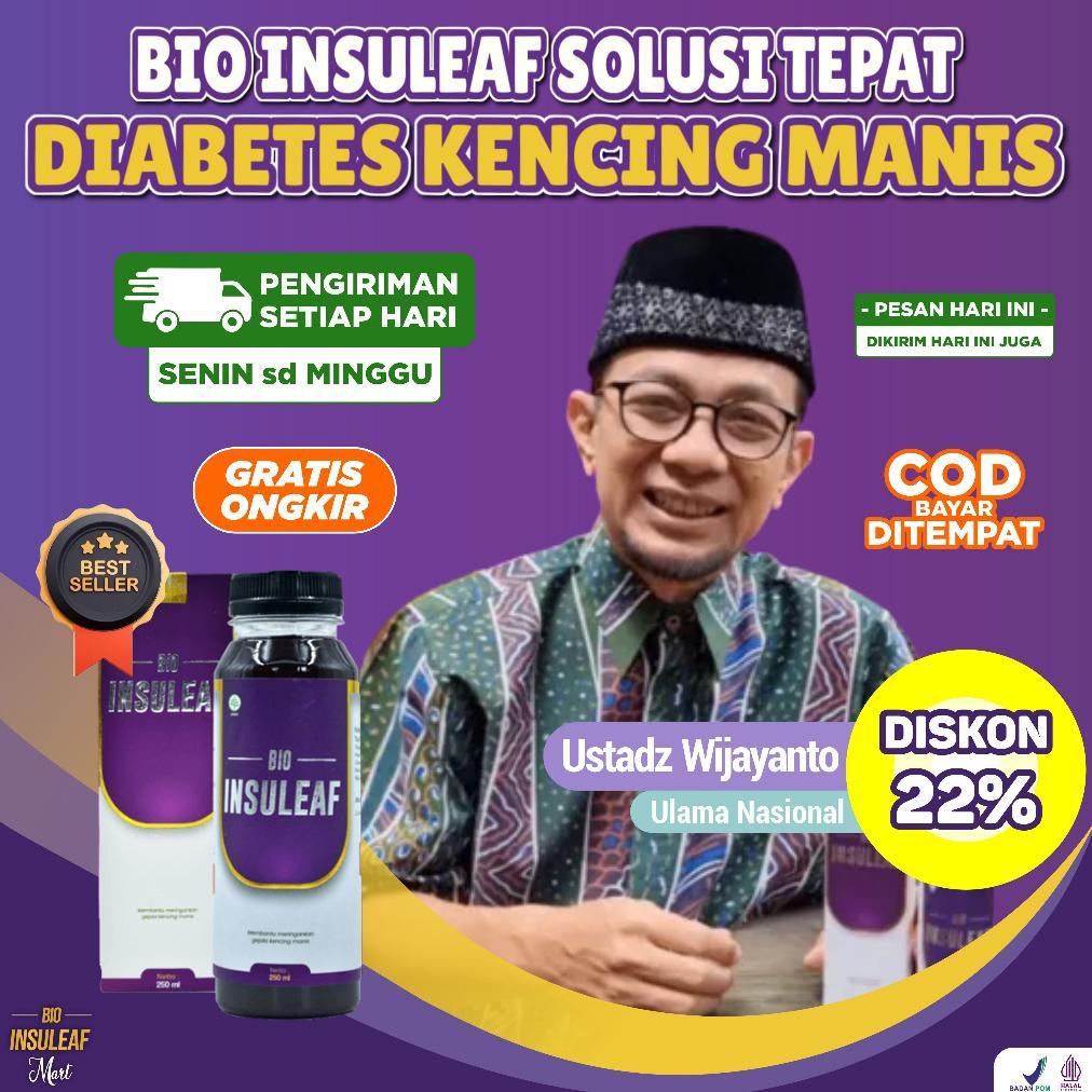 Bio Insuleaf Solusi Diabetes Original 1 Botol