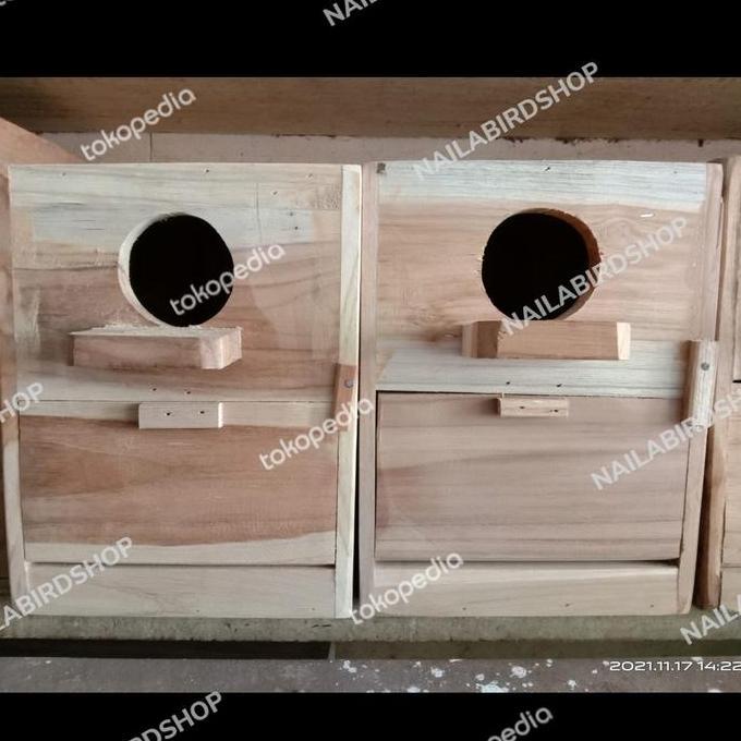 Glodok Lovebird Gowok Lovebird Kayu Jati Allshop