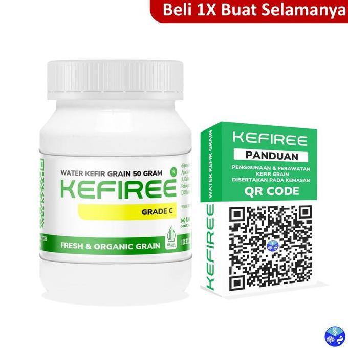Generalx- Gyunyu- Ter Kefir Grain | Alga Kristal | Alga | Tibicos | Kefiree | Bibit Ter Kefir Grade 