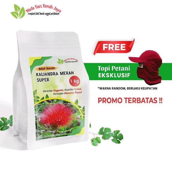 1 Kg Benih biji kaliandra merah super / bibit benih kaliandra benih Tanaman