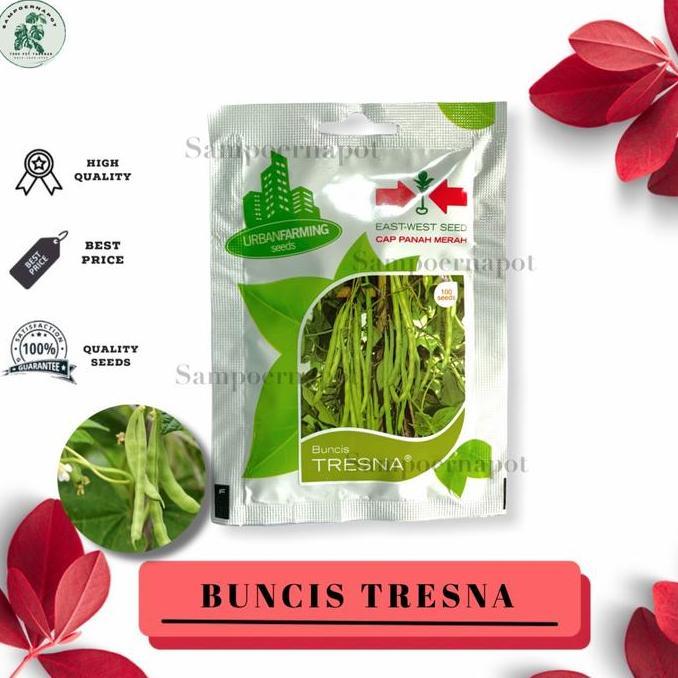 Okebro- Noni- Benih Bibit Buncis Tresna Cap Panah Merah - Buncis Tresna East West Seed
