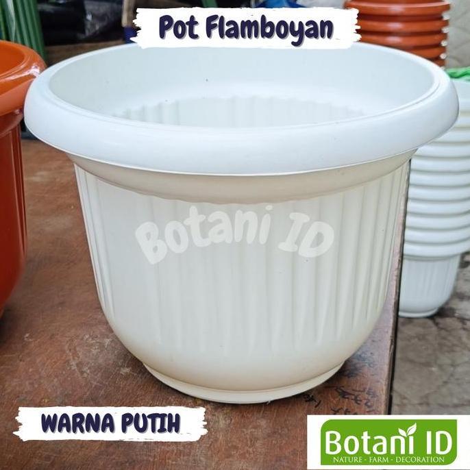 Pot Flamboyan Tanaman Hias Pot Besar Plastik Bunga Tanaman Hias 50cm