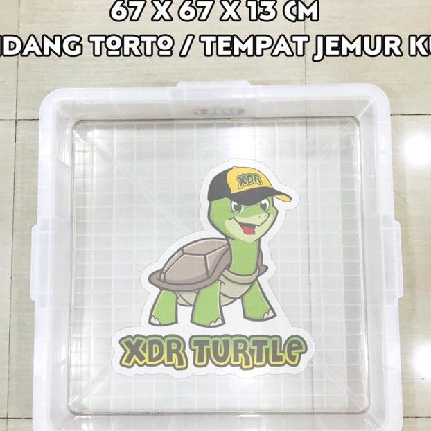 Kandang Kura Darat Kura Air 67X67X13 Kontainer Serbaguna Sulcata Pardalis Res Albino Kura Darat Xdr