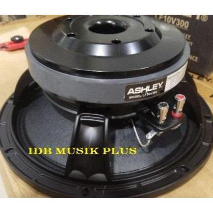 SPEAKER COMPONENT 10 INCH ASHLEY LF10V300 LF10 V300 ORIGINAL ASHLEY