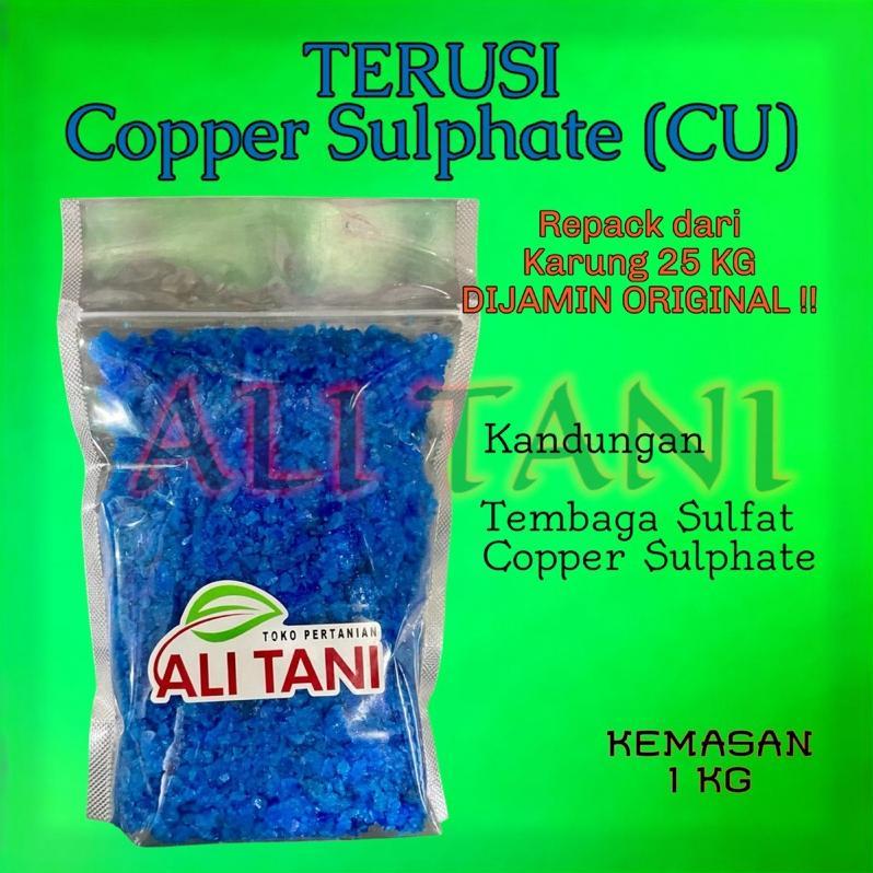 (Kasar) Terusi Kristal /Copper Sulphate / Cu Kemasan Re Pack 1 Kg Untuk Pembiru Air Kolam Renang/Ant