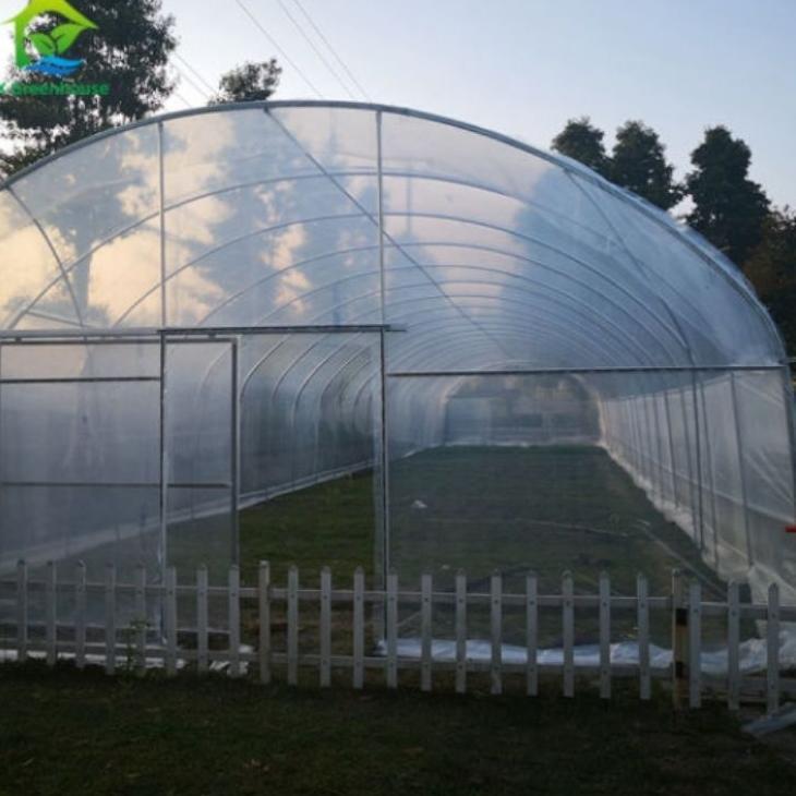 Plastik Uv Tebal 300 Micron 7 X 8 Meter