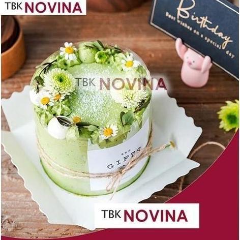 Pilihan- Box Mika Cake / Box Mika Kue / Kotak Kue Cake / Box Cake Cantik