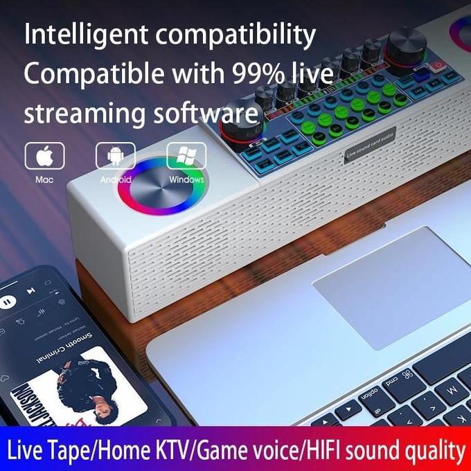 Oassi- Soundcard Sy6 Bluetooth Speaker 2 Mic Wireless Microphone Karaoke