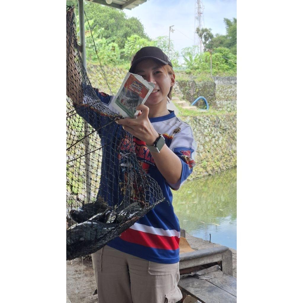 Pelet Nila Udang Rebon