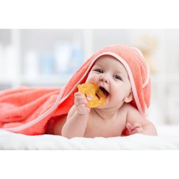 Gigitan Bayi DODO - DODO Water Filled Teether