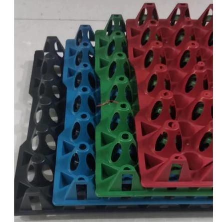 Egg Tray - Tempat Telur Plastik Tray 30 Butir Rak Telor Plastik