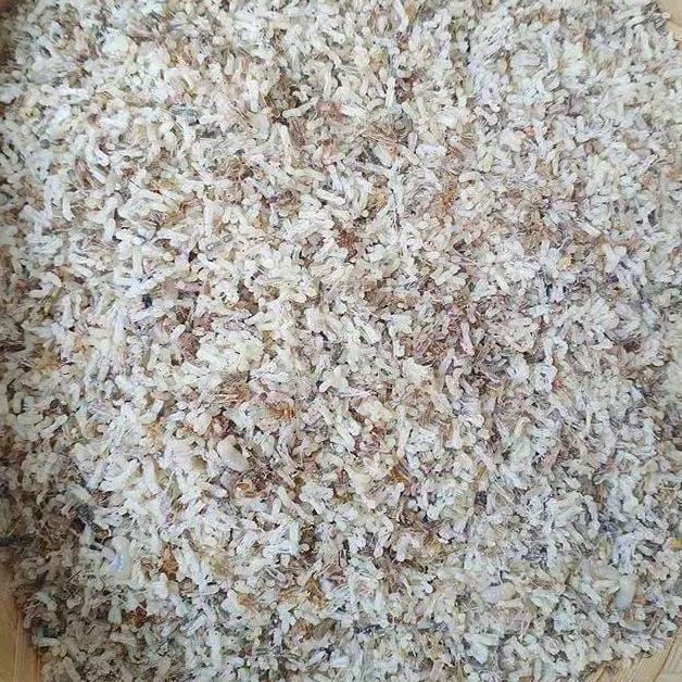 Kroto Telur Semut Umpan Pancing, Pakan Burung