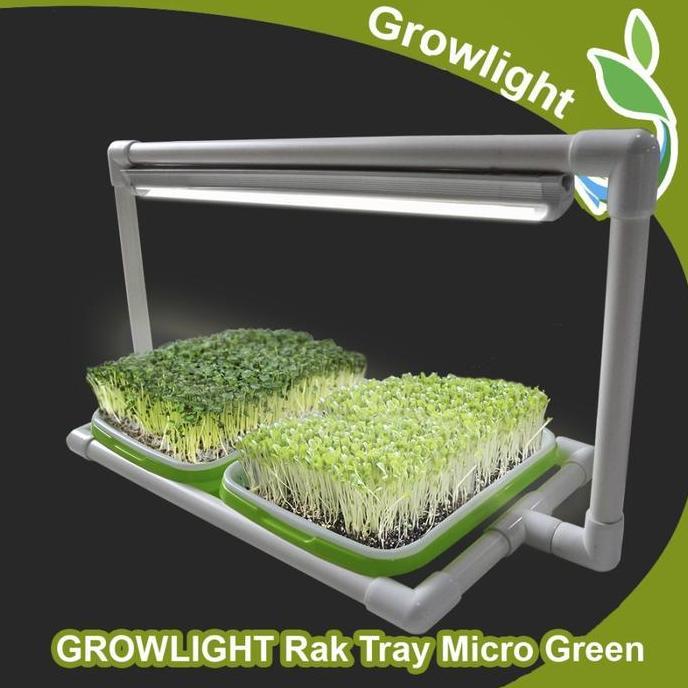 NEW Mini Kit GROWLIGHT TRAY MICROGREENS 2 Tray