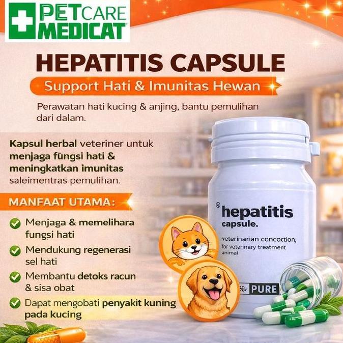 Obat Penyakit Kuning Kucing Dan Anjing Obat Hepatitis Liver Hewan Petcare Medicat Best Quality