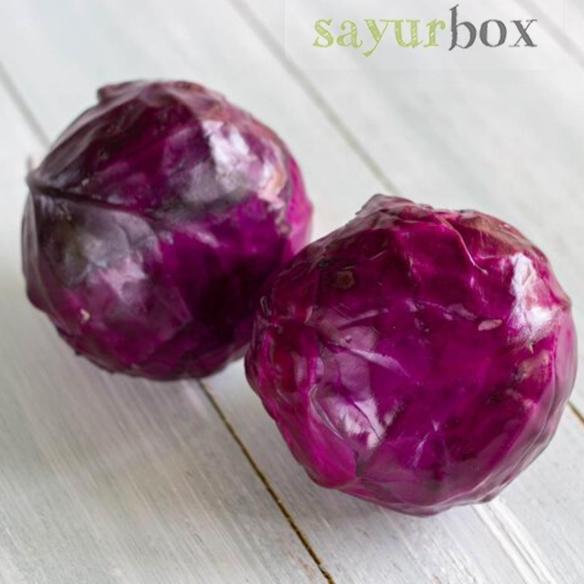 (Good) Kol Ungu Organik 500 gram Sayurbox