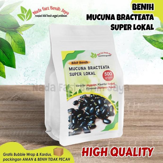 500 Gram Benih Mucuna  Lokal Bibit Mucuna Bracteata Unggulan / Benih Tanaman Cover Crop Kacang Kacan