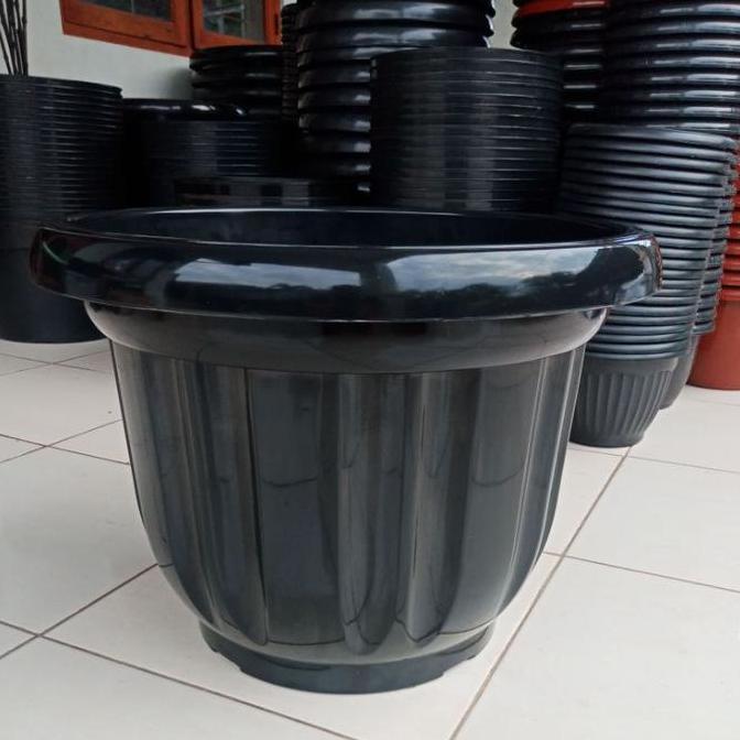 Pot polos besar 50 ebbony