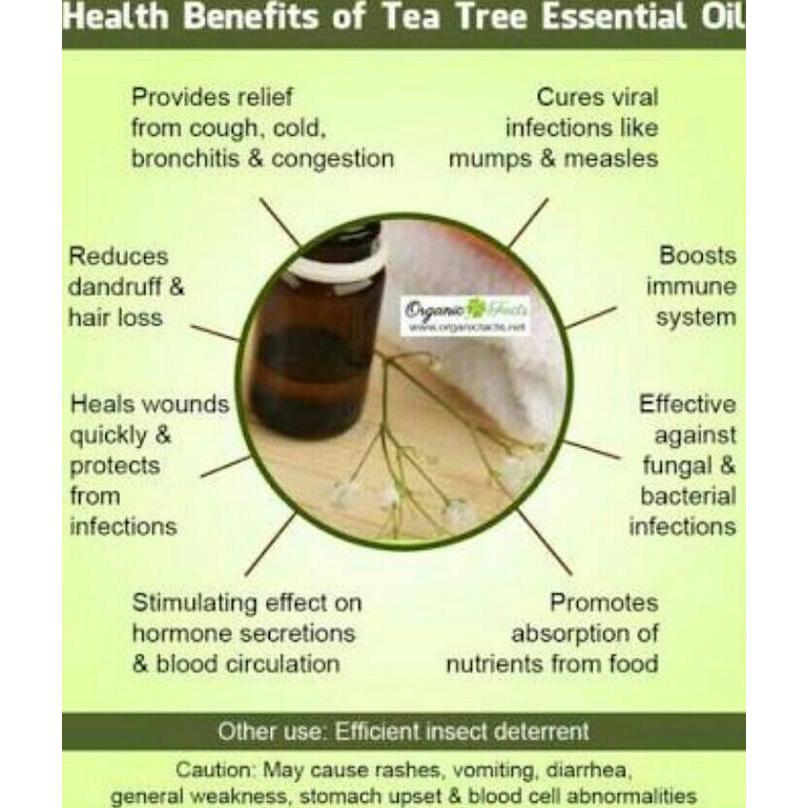 Cream- New- Pure Tea Tree Oil 5 Ml