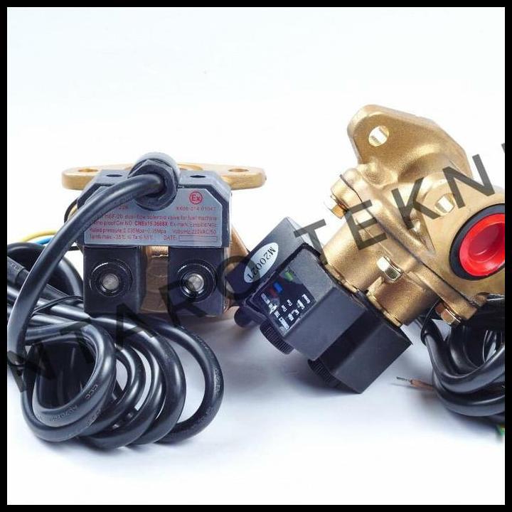 Terlaris Selenoid Double Valve Selenoid Valve Selenoid 2 Katub Spbu Good Quality