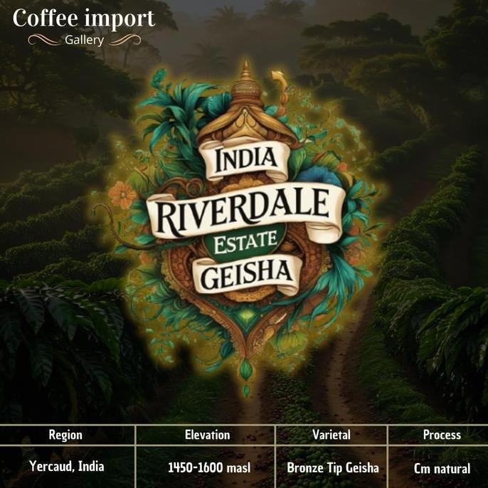 READY India Riverdale Estate Geisha | Green bean import arabika 500gr