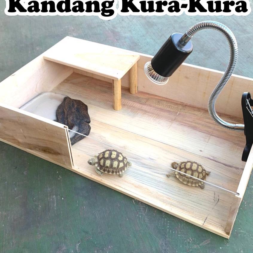 Torto Table Kandang Tortoise Sulcata Kandang Kura Kura Kandang Kayu