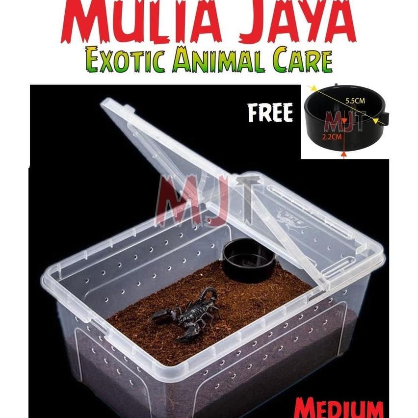 Kandang Tarantula Enclosure Tarantula Box Reptil M 26X17.5X11.5Cm Iguana Kura Gecko Bd Nomoy H4