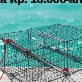 Paket 10 Pcs Bubu Kepiting Rajungan Anti Karat Kuat Ukuran 42X28X16