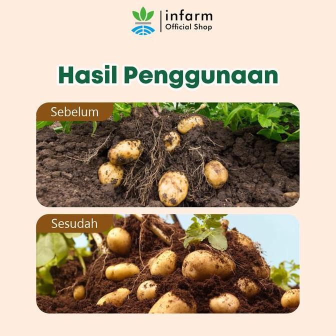 INFARM - Pupuk AB Mix Hidroponik Besar Umbi untuk 1000 Liter Pupuk Cair AB Mix Umbi Padat Premium Pu