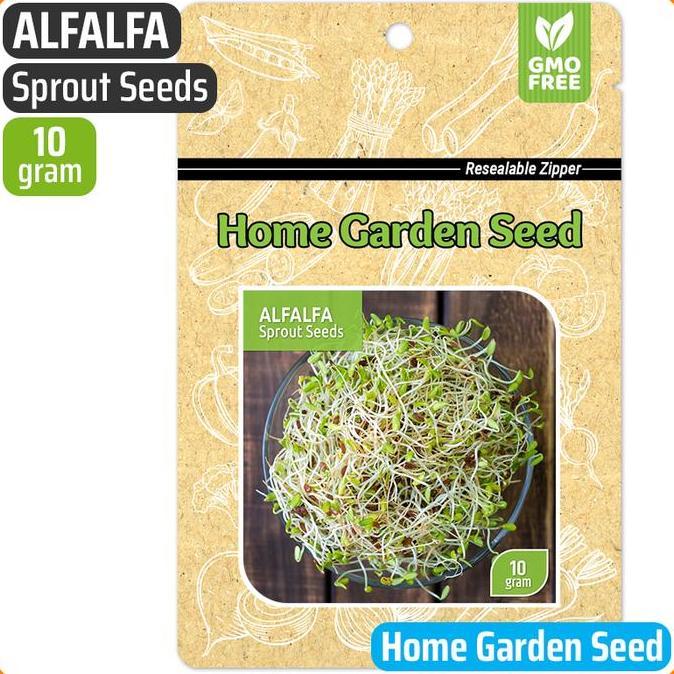 HERBONE Benih Alfalfa Sprout - Home Garden Seed
