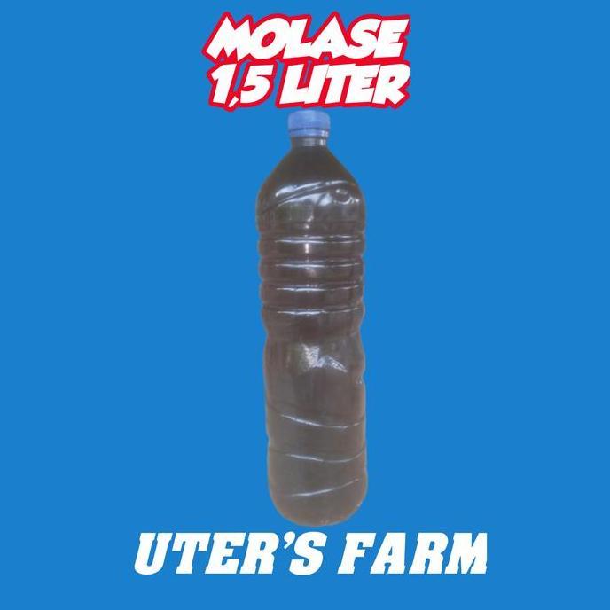 MOLASE TETES TEBU ASLI