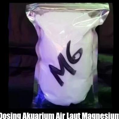 Dosing Big 3 MG Magnesium bubuk 1kg untuk akuarium air laut Perawatan Coral Reef Tank