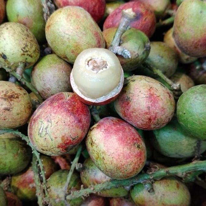 Matoa | matoa papua | buah matoa - 1 kg