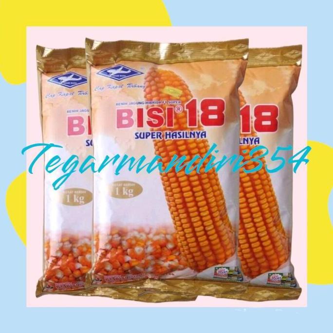 Benih jagung bisi 18 1kg Bibit jagung bisi 18 1kg