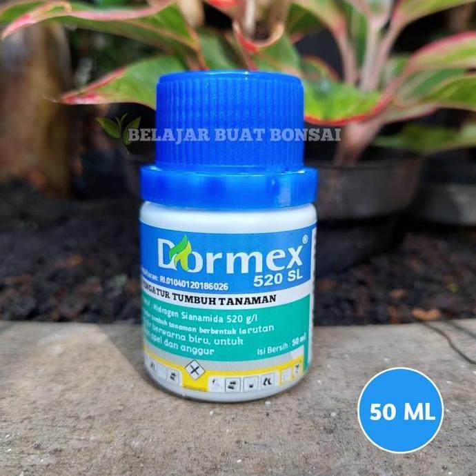 Parque - Dormex 520Sl Hidrogen Sianamida Zpt Apel Anggur Germany