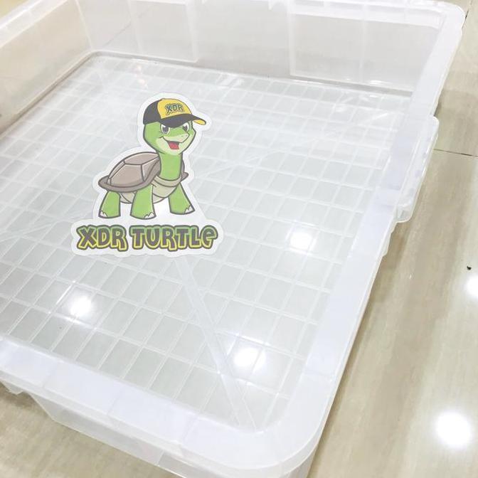 KANDANG KURA 67x67x13 SULCATA ALDABRA PARDALIS RES ALBINO XDR TURTLE