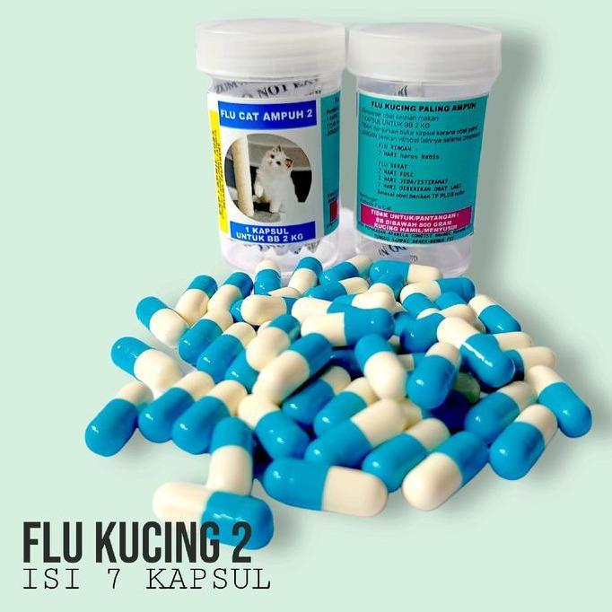 Gato - Flu Kucing Flu Care Vitamin Obat Flu Cat Virus Kucing