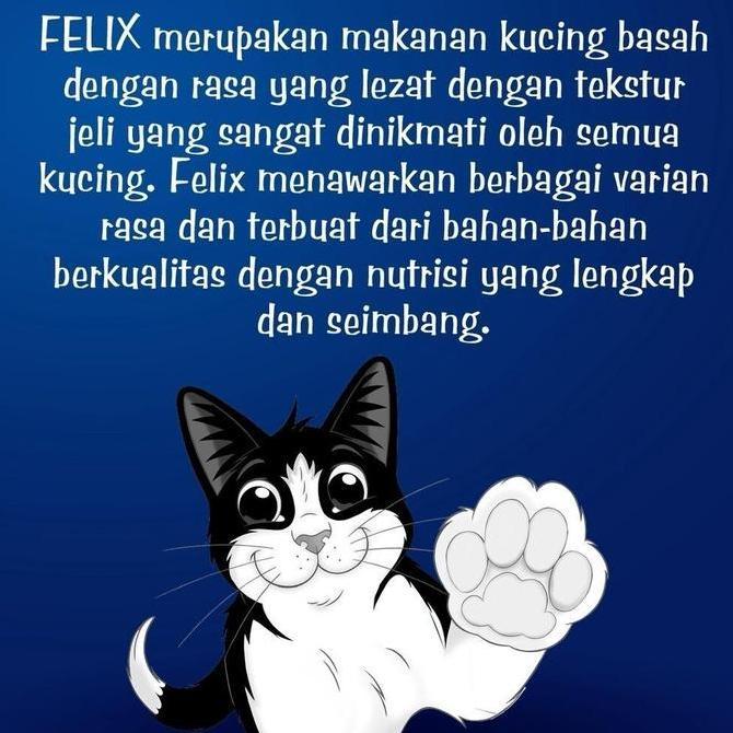 Gato - Felix Makanan Kucing Basah X48Pcs
